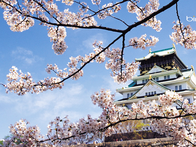 （國旅自組）【花見西安】西安、青龍寺賞花、白鹿原影視城、兵馬俑博物館、黑悟空取景地-藍(lán)田水陸庵、大唐不夜城、西安博物院、《西安千古情表演》純玩雙飛六天（不派全陪）