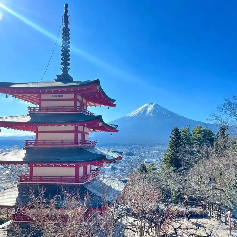 RT【暑期-嗨翻本州】日本東京、大阪、世界遺產(chǎn)富士山、急樂園、京都、奈良雙古都雙飛6天（茂名往返）